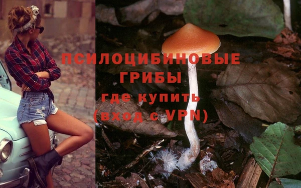 гидропоника Алзамай