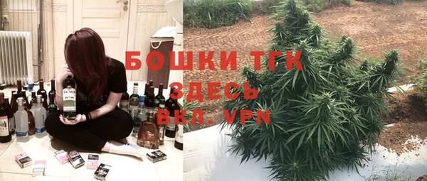 гидропоника Алзамай