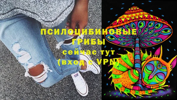 spice Армянск