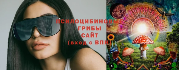 spice Армянск