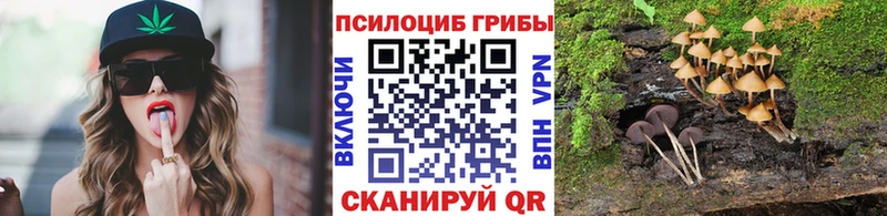 закладки Волгодонск кракен онион Псилоцибиновые грибы GOLDEN TEACHER